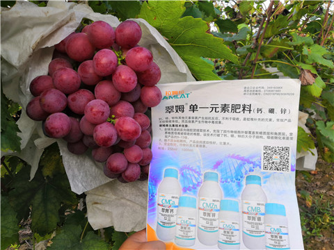 水溶肥，鈣肥，硼肥