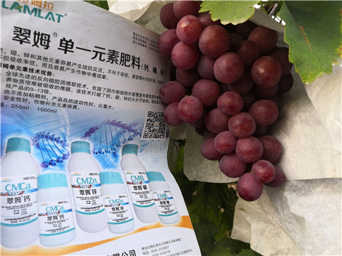 水溶肥，鈣肥，硼肥