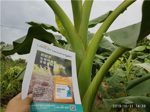 葉面肥，微生物菌劑，硼肥，水溶肥