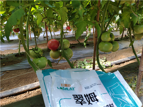 水溶肥，