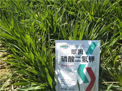 磷酸二氫鉀，