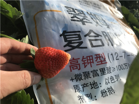 水溶，拉姆拉，翠姆