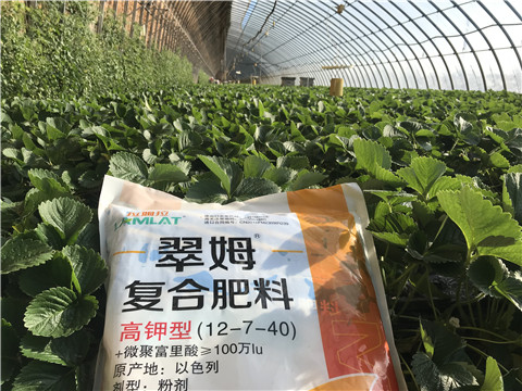 水溶，拉姆拉，翠姆