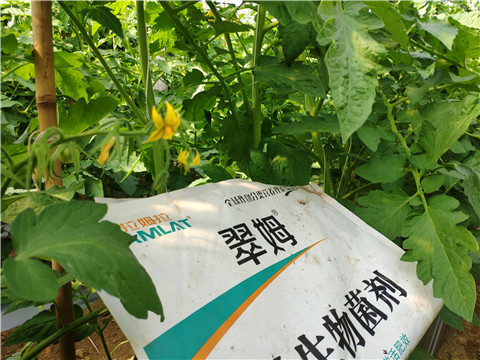 微生物菌劑，