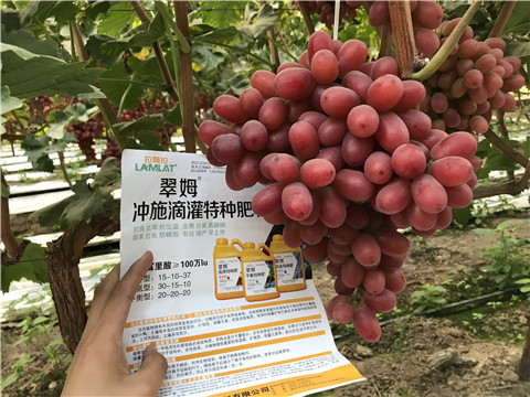 沖施肥，拉姆拉