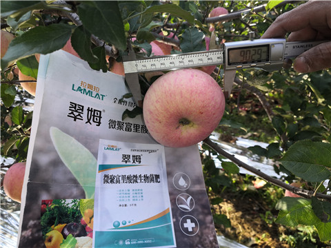 水溶肥，磷酸二氫鉀，微生物菌劑