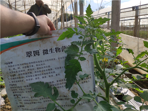 微生物菌劑 ，拉姆拉翠姆