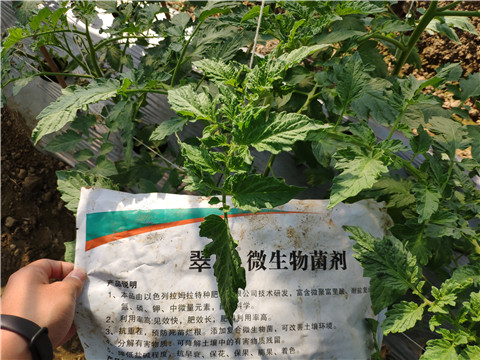 微生物菌劑 ，拉姆拉翠姆