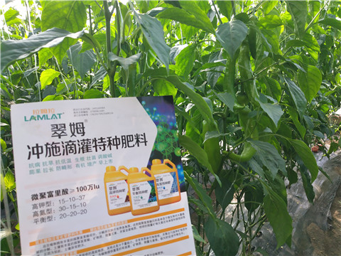 水溶肥，拉姆拉