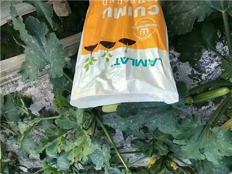 水溶肥，拉姆拉