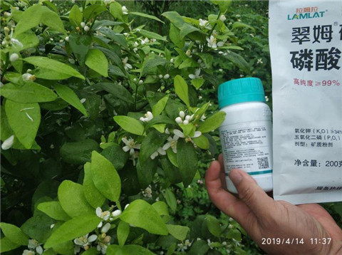 水溶肥，根碧多