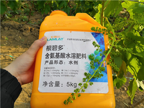生根劑，微生物菌劑