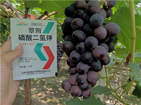 磷酸二氫鉀，葉面肥