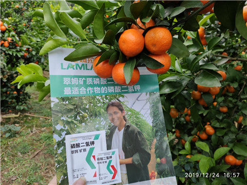 磷酸二氫鉀，鈣肥，硼肥