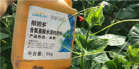 水溶肥，翠姆