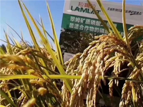 磷酸二氫鉀，翠姆