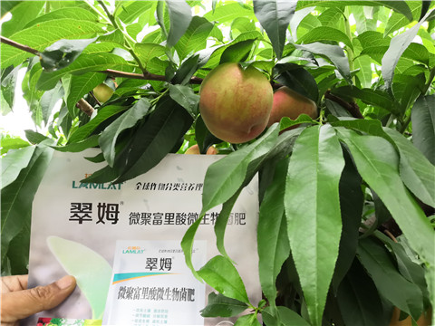 根碧多，微生物菌劑