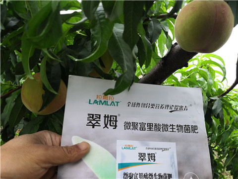 根碧多，微生物菌劑