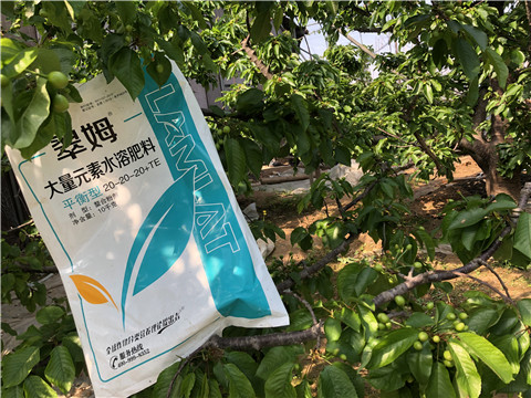 大量元素水溶肥，磷酸二氫鉀，硼肥