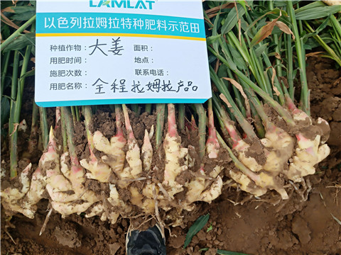 水溶肥，微生物菌劑，拉姆拉