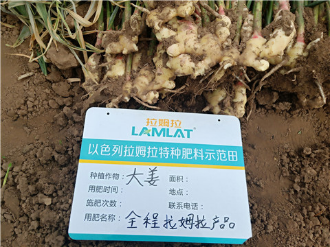 水溶肥，微生物菌劑，拉姆拉
