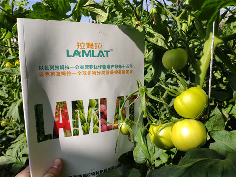 微生物菌劑，拉姆拉，伯示麥