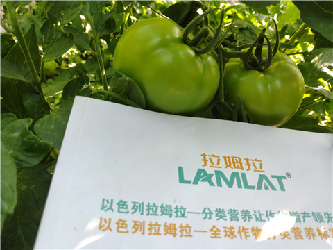微生物菌劑，拉姆拉，伯示麥