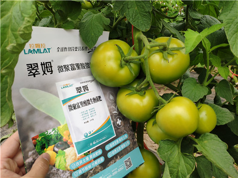 葉面肥，微生物菌劑，磷酸二氫鉀