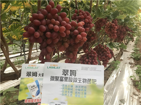 微生物菌劑，硼肥，鈣肥