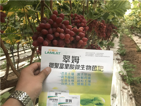 微生物菌劑，硼肥，鈣肥