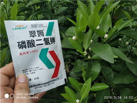 磷酸二氫鉀，硼肥，拉姆拉