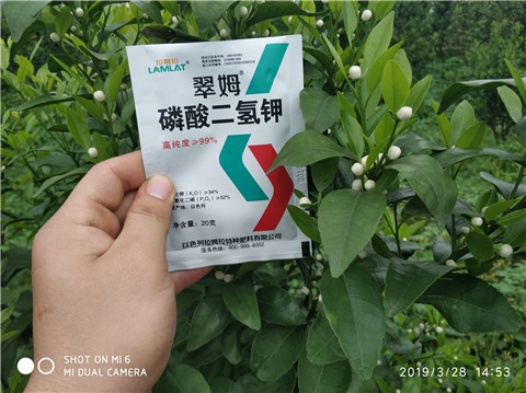 磷酸二氫鉀，硼肥，拉姆拉