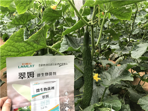 微生物菌劑，水溶肥，拉姆拉