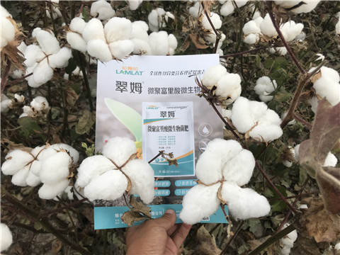 微生物菌劑，根碧多，拉姆拉