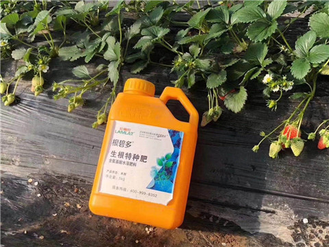 根碧多，微生物菌劑，拉姆拉