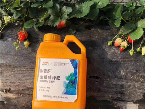 根碧多，微生物菌劑，拉姆拉