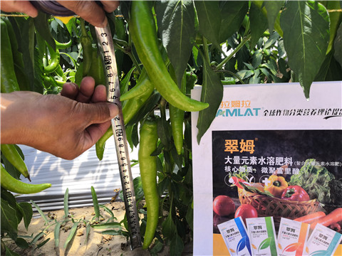 水溶肥，拉姆拉
