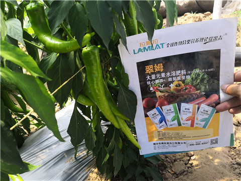水溶肥，拉姆拉