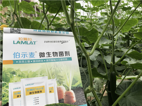 微生物菌劑，生根劑，拉姆拉