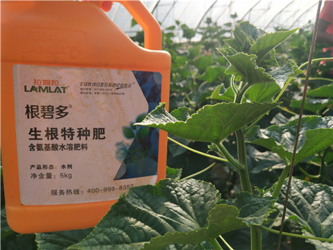 根碧多，磷酸二氫鉀，拉姆拉