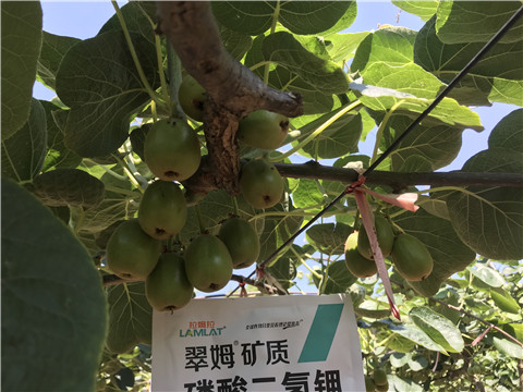 磷酸二氫鉀，拉姆拉