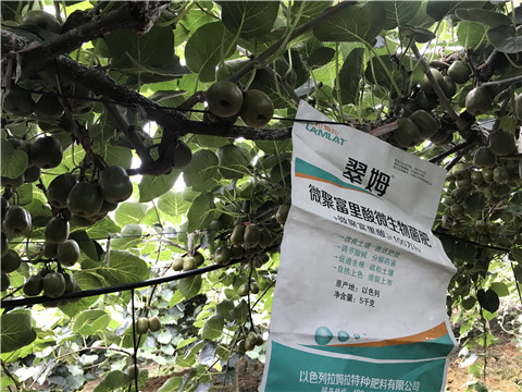微生物菌劑，翠姆，拉姆拉