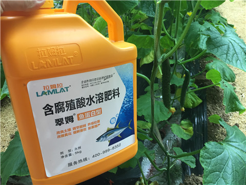 生根劑，魚蛋白水溶肥，拉姆拉