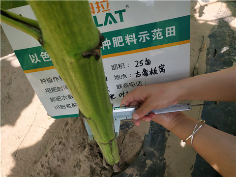 水溶肥，微生物菌劑，拉姆拉