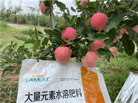 水溶肥，翠姆，拉姆拉