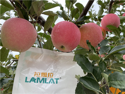 水溶肥，翠姆，拉姆拉