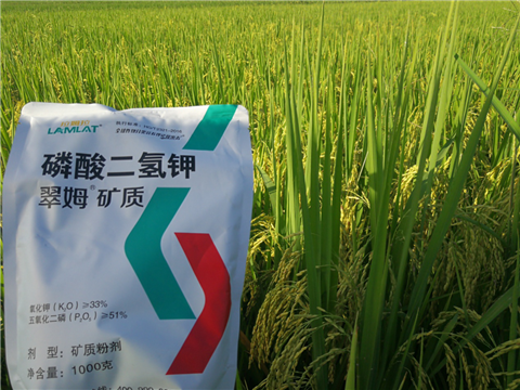 葉面肥，水稻灌漿肥，拉姆拉