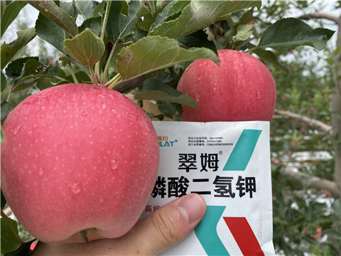 高鉀水溶肥，磷酸二氫鉀，拉姆拉，翠姆