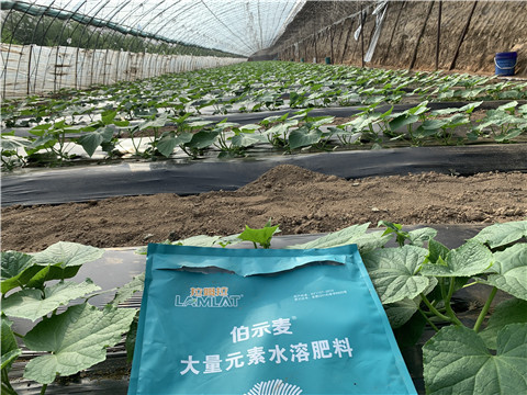 水溶肥，拉姆拉
