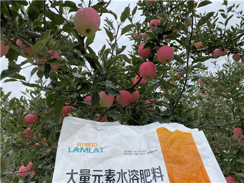 進(jìn)口水溶肥品牌，拉姆拉，翠姆
